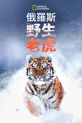 神翼天堂在线体验