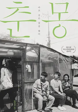 直播聚合福利