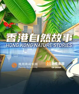 欧美天堂三级在线网