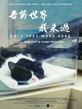 韩国午夜影音在线观看