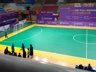 欧美高清3dxXX在线
