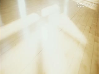 滨崎东京热