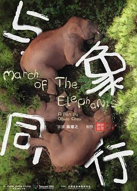 在线观看片不卡无码