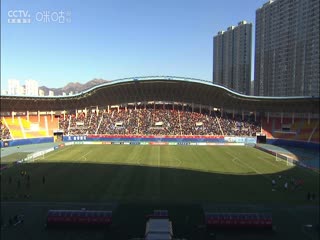 无码一级国产