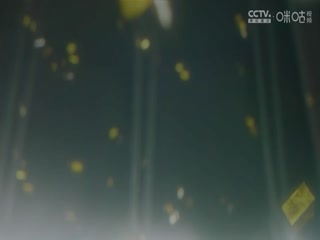 51四虎无码
