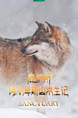 18禁播无码网址
