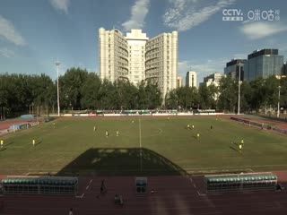 国产伪娘网站免费观看