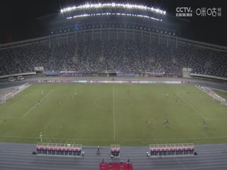最近国产精品中字麻豆